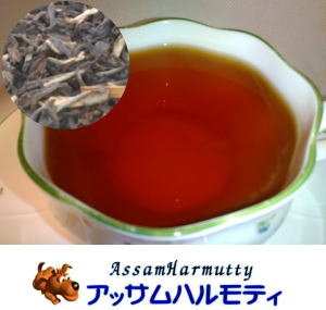 �A�b�T���n�����e�B