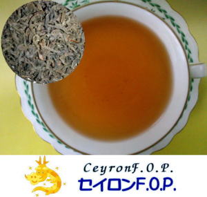 �Z�C����FOP