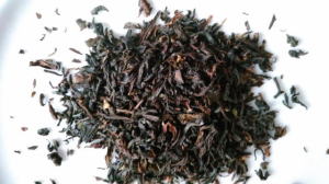 �_�[�W�������t