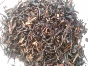 �t�@�C�l�X�g�A�b�T�����t