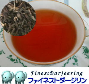 �t�@�C�l�X�g�_�[�W����