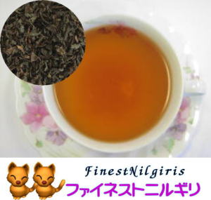 �t�@�C�l�X�g�j���M��