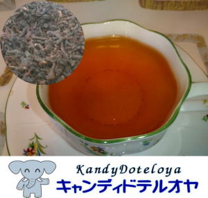 �L���f�B�h�e���I��