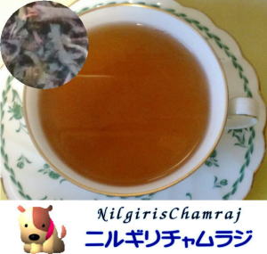 �j���M���`�������W