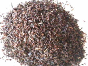 �j���M���R�_�i�b�h���t